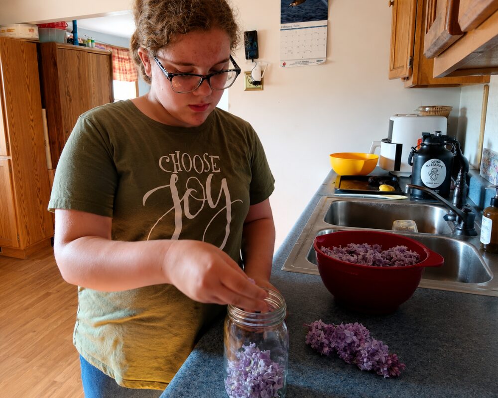 Child canning lilacs during a MI-IMPACT food preservation program